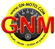 logo gnm